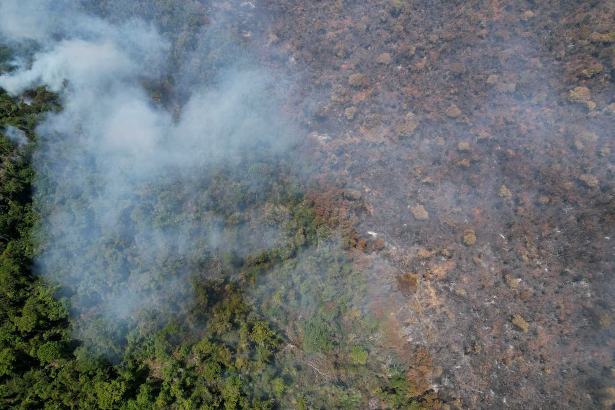 Κατάσταση έκτακτης ανάγκης από τις φονικές πυρκαγιές