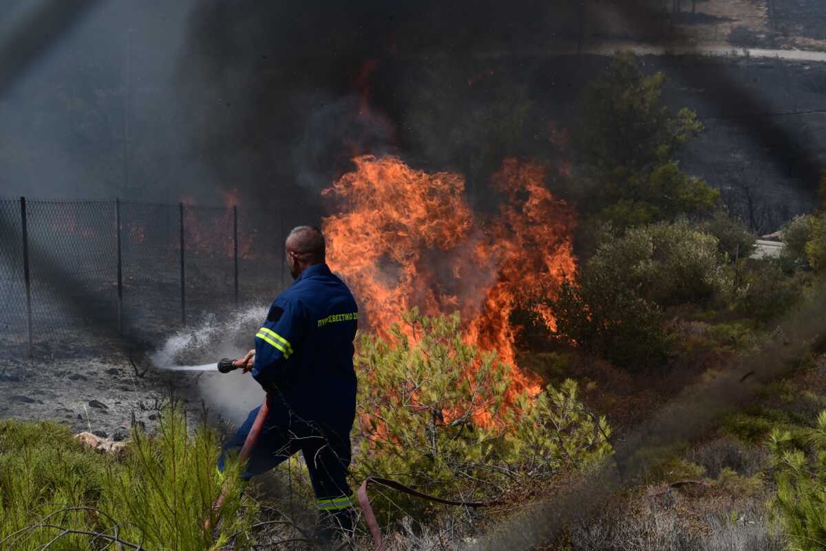 Φωτιά στη Ρόδο: Καίγεται δάσος στον Μονόλιθο – Σηκώθηκαν τα εναέρια μέσα