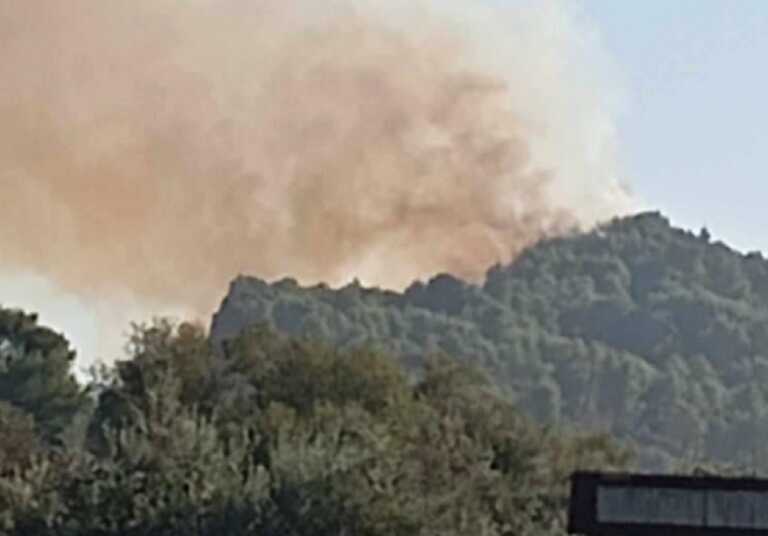 Φωτιά στην Ηλεία σε δάσος στην Εφύρα