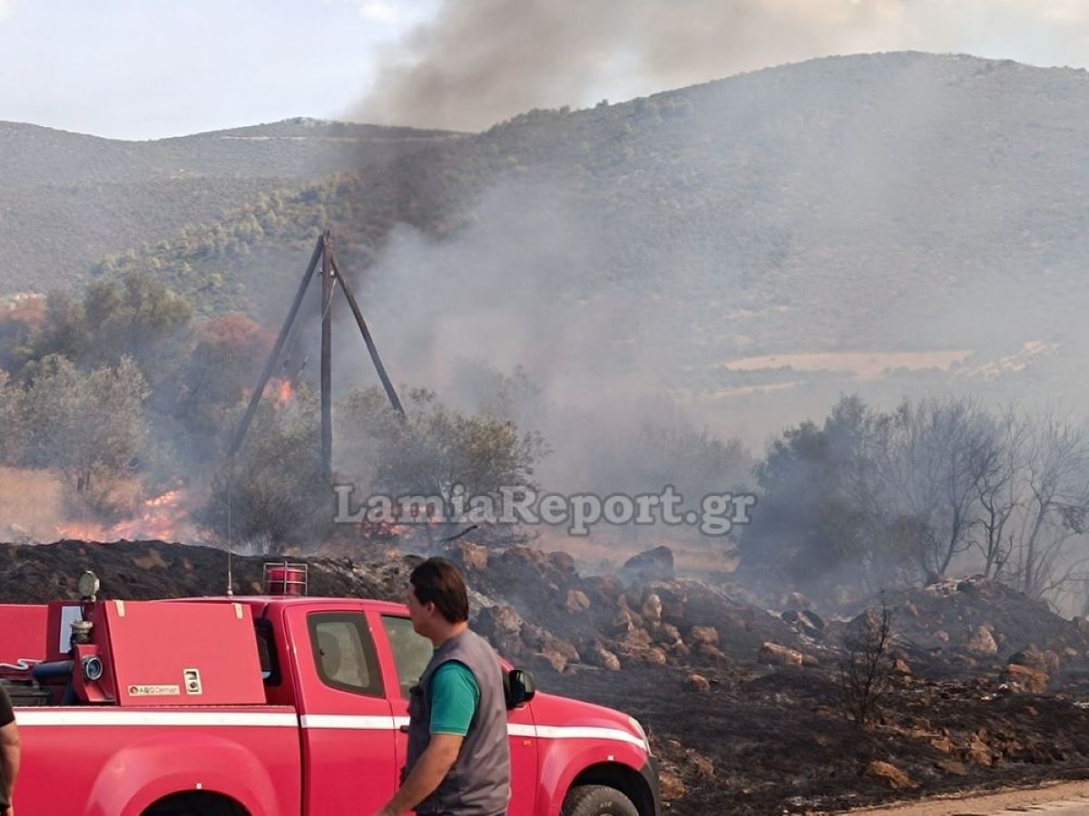 Φωτιά στη Λάρυμνα Φθιώτιδας – Ρίψεις νερού από 2 αεροσκάφη και 1 ελικόπτερο