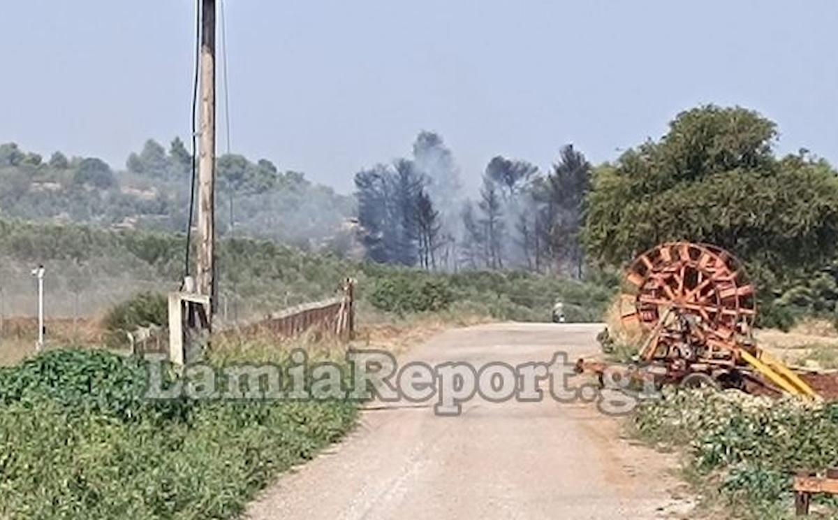 Φωτιά στις Λιβανάτες Φθιώτιδας: Στη μάχη 3 αεροσκάφη και 1 ελικόπτερο