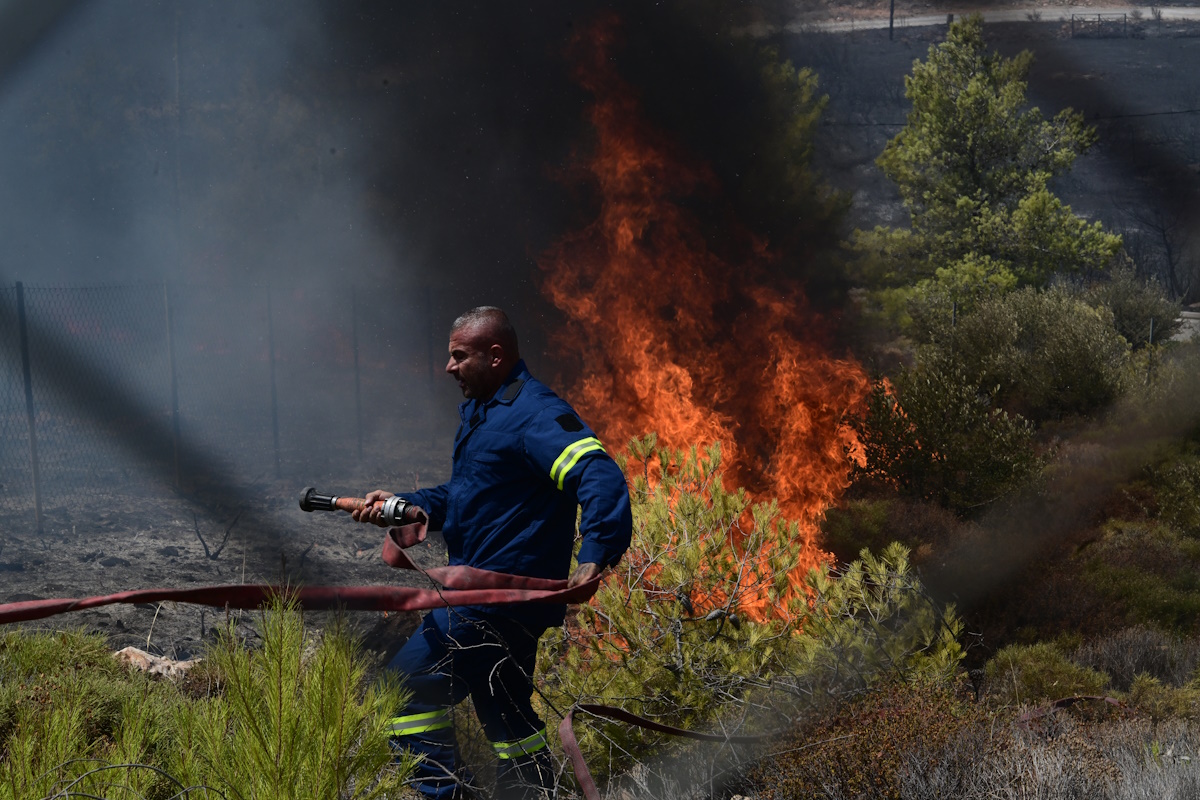 Ηλεία: Χειροπέδες σε 27χρονο που έβαλε επίτηδες φωτιά σε οικόπεδο