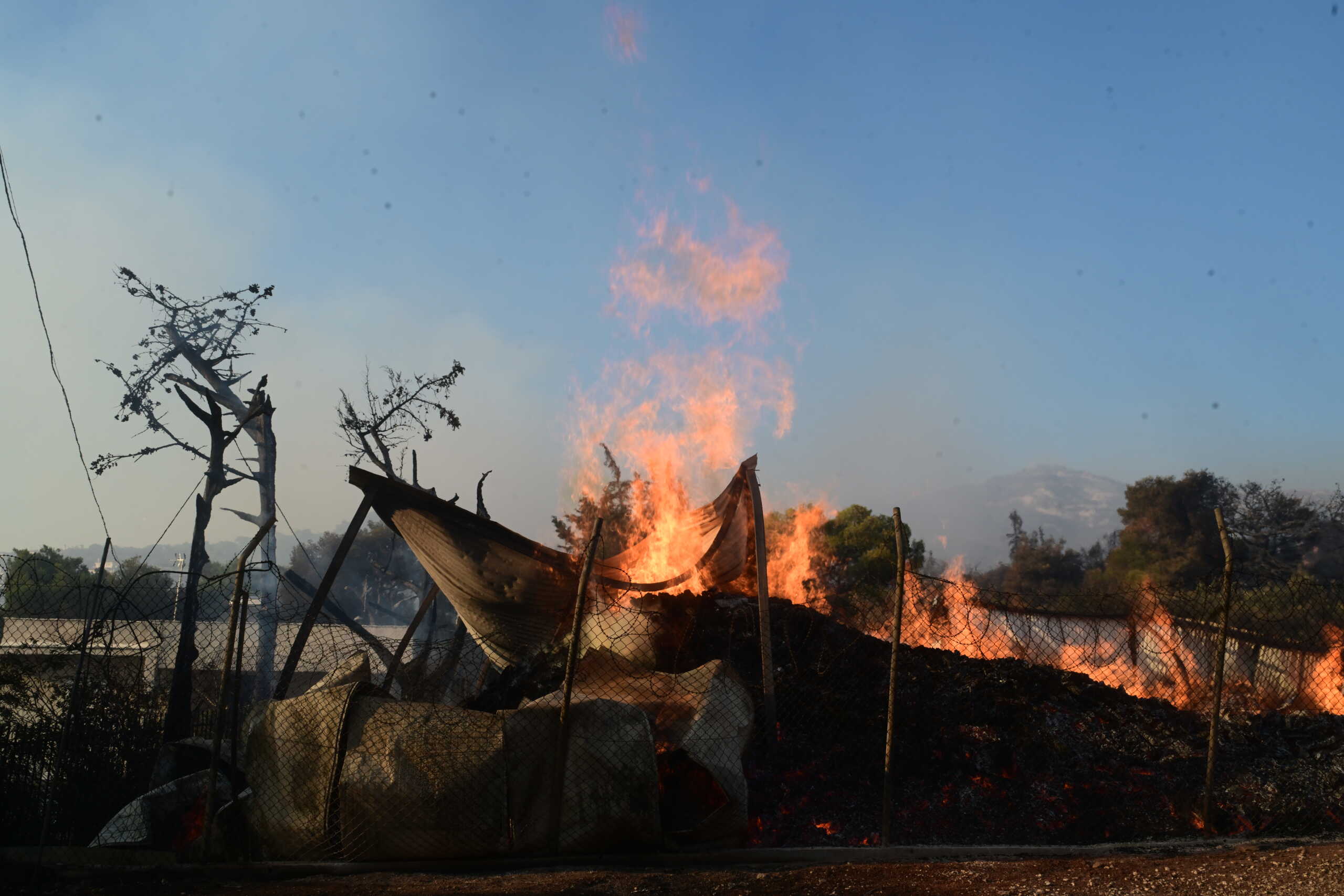 Πυρκαγιά στη Βορειοανατολική Αττική. Δευτέρα 12 Αυγούστου 2024  (ΤΑΤΙΑΝΑ ΜΠΟΛΑΡΗ