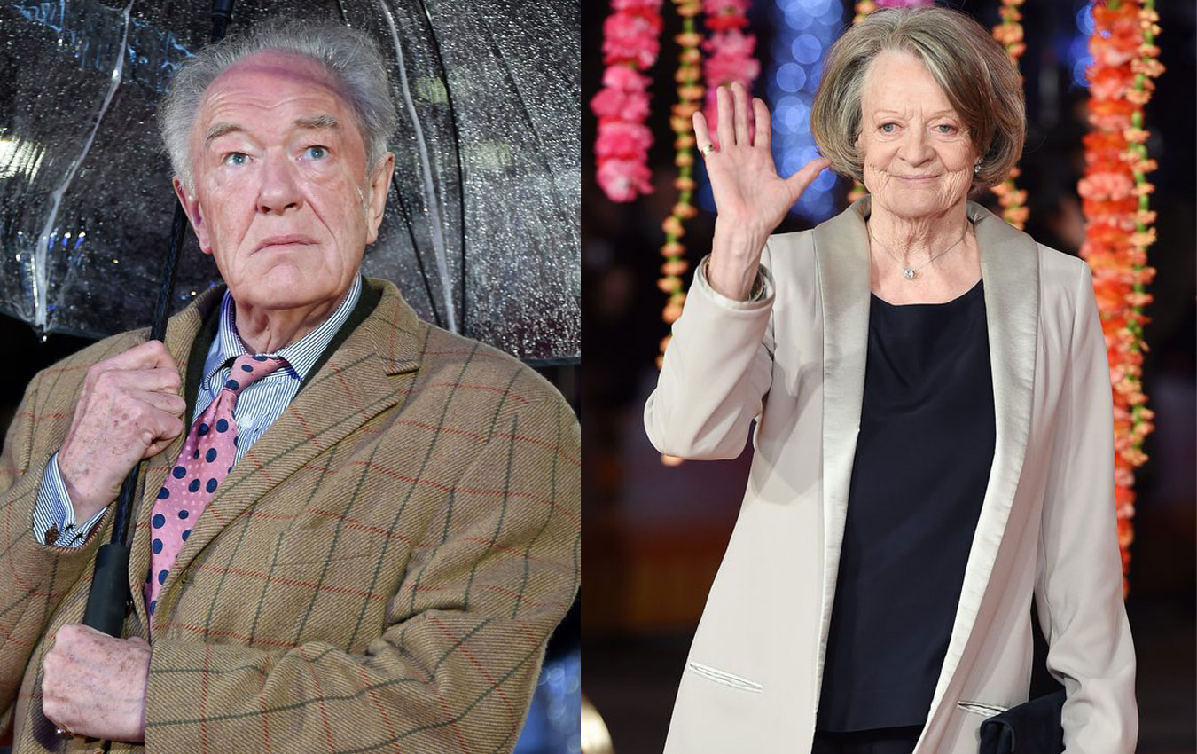 Maggie Smith και Sir Michael Gambon πέθαναν την ίδια μέρα με έναν χρόνο διαφορά