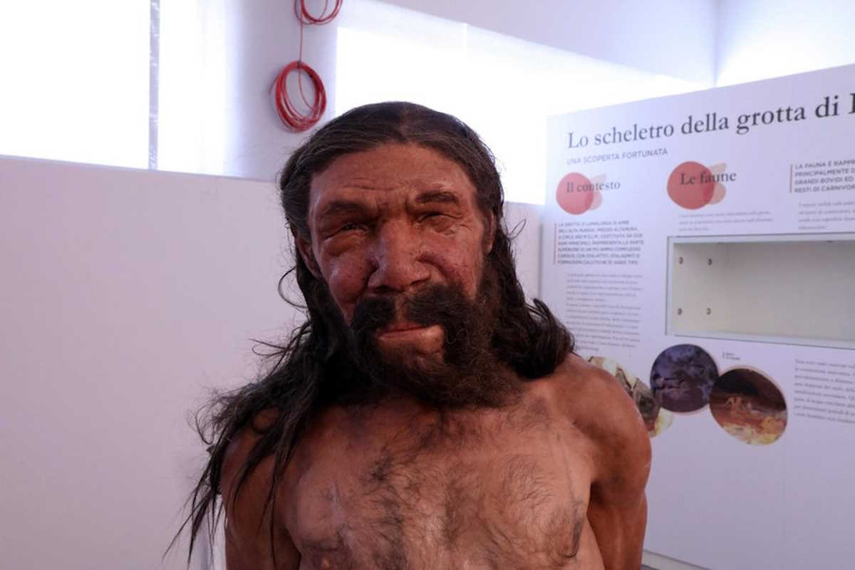 epa05278601 A Undated handout image released by digital service Digitarca press office on 26 April 2016 shows life-size version of what a Neanderthal man whose fossilized skeleton was discovered in a cave near the city of Altamura in the southern Puglia region in 1993. A pair of Dutch artists specializing in paleontological reconstructions on Tuesday presented their life-size version of what a Neanderthal man that was discovered.  The so-called Man of Altamura was of stocky build, about 1.65 meters tall, had a jutting brow, a wide pelvis, an elongated cranium and a very big nose, according to the reconstruction by Adrie and Alfons Kennis.  EPA