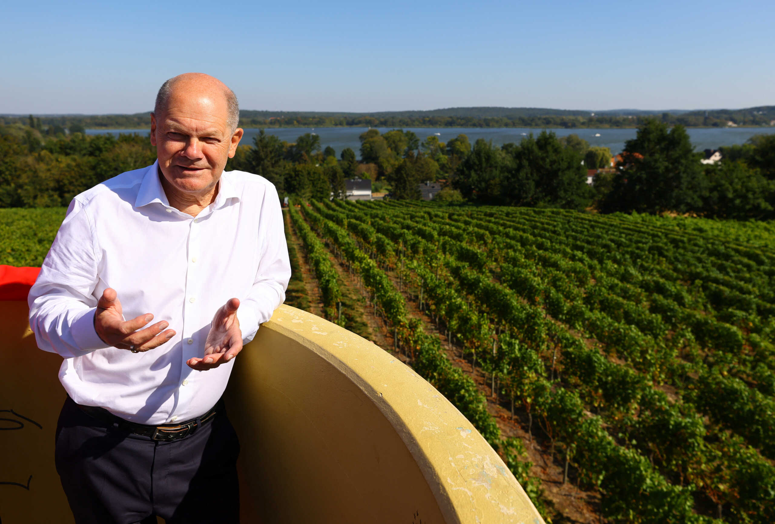 German Chancellor Olaf Scholz visits the Werderaner Wachtelberg vineyard in Werder, Germany September 20, 2024. REUTERS