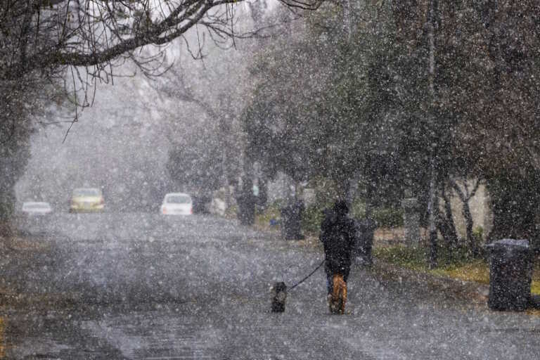 Σπάνιες εικόνες στη Νότια Αφρική - Σφοδρές χιονοπτώσεις έκλεισαν δρόμους, εγκλώβισαν οδηγούς