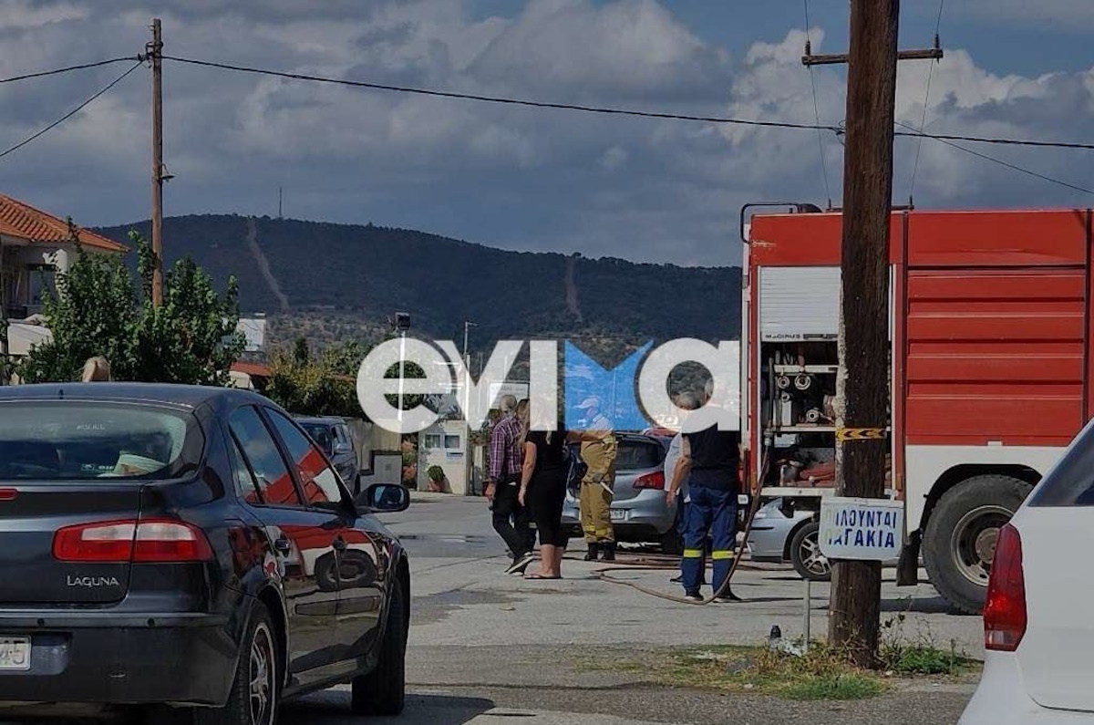 Τροχαίο ατύχημα στην Εύβοια: Αγροτικό συγκρούστηκε με αυτοκίνητο – Γέμισε με λάδια ο δρόμος