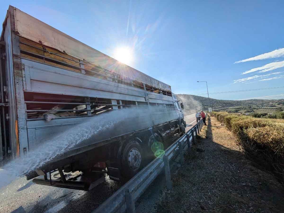 Αμφιλοχία: Πυροσβέστες έσωσαν ζώα από το φλεγόμενο φορτηγό στην Ιόνια Οδό