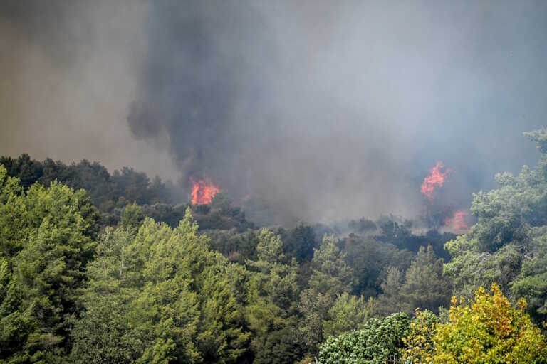 Καλύτερη η εικόνα της φωτιάς στο Γεράκι Αμαλιάδας – Η βροχή βοηθά το έργο κατάσβεσης