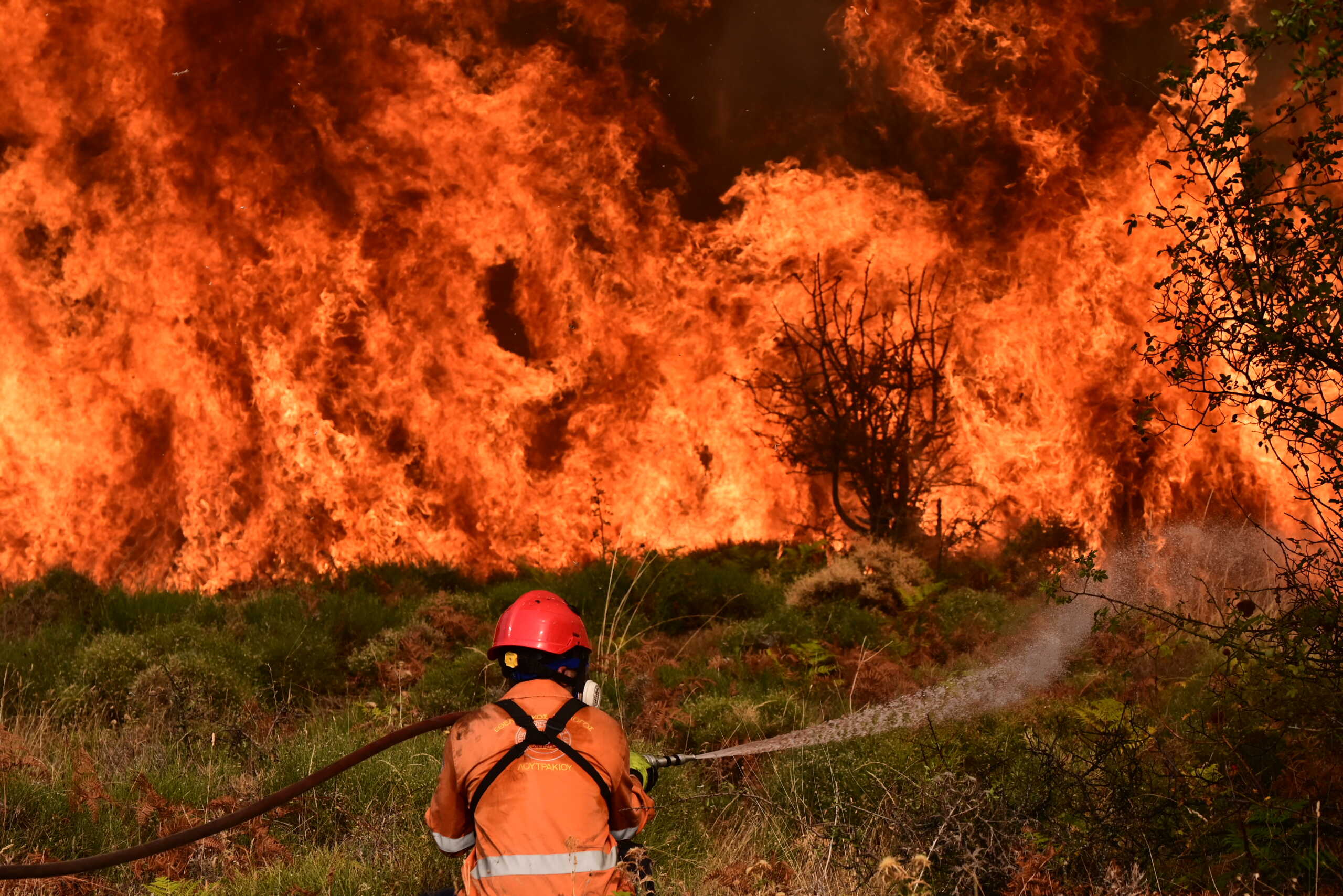 Φωτιά στην Κορινθία: Συνεχίζεται η μάχη με τις φλόγες – Επιχειρούν 490 πυροσβέστες και 31 εναέρια