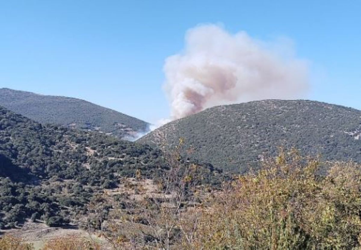 Φωτιά στην Αχαΐα – Ρίψεις νερού από 2 αεροσκάφη