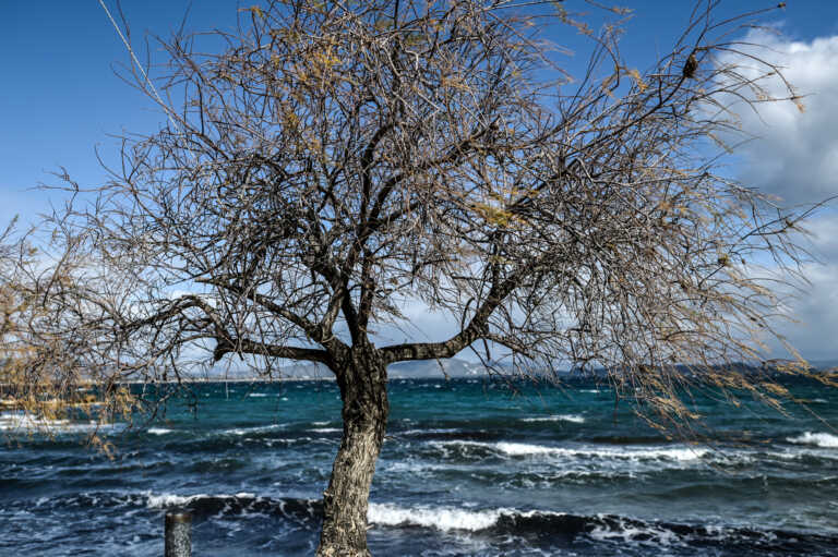 Καιρός σήμερα: Φθινοπωρινό σκηνικό με ισχυρούς ανέμους