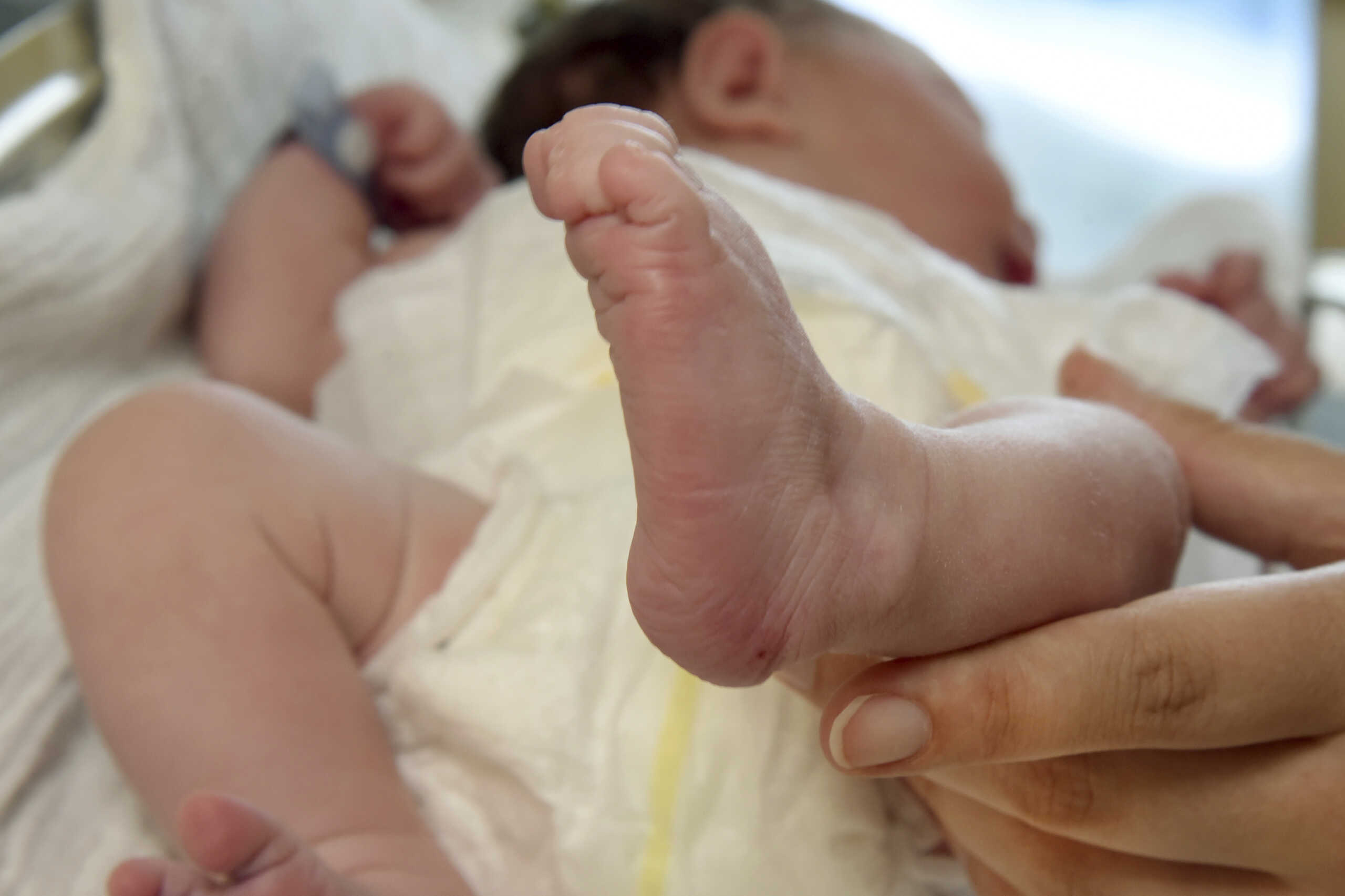 22 August 2024, Saxony-Anhalt, Halle (Saale): In the maternity clinic at St. Elisabeth and St. Barbara Hospital, midwife Stefanie F''chen holds a newborn baby just a few hours old in her hands. Photo by: Waltraud Grubitzsch