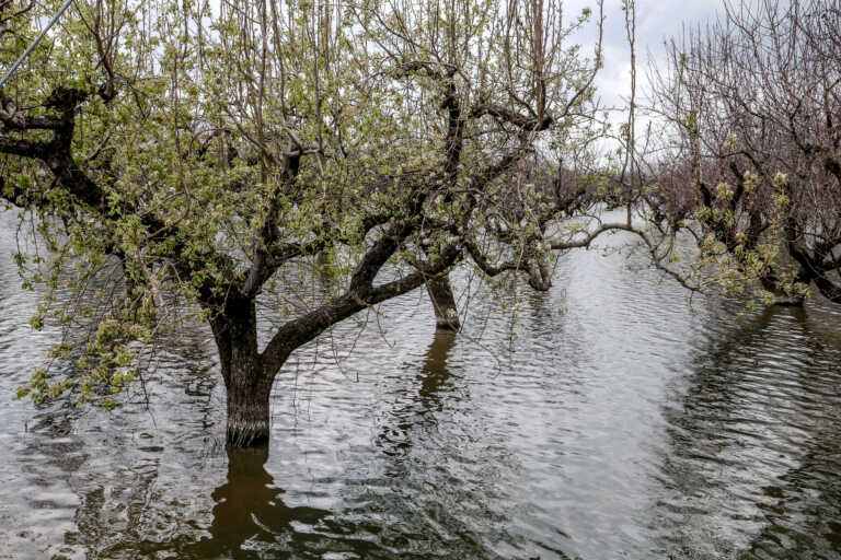 Από το 1980 οι πλημμύρες στην Ελλάδα έχουν θερίσει 190 ζωές – Ποια ήταν η πιο «φονική» περίοδος