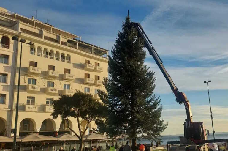 Έφτασε το χριστουγεννιάτικο δέντρο στην Αριστοτέλους – Θα φωταγωγηθεί 30 Νοεμβρίου στην πρεμιέρα του Μετρό