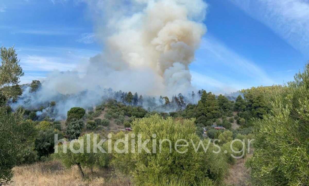 Μεγάλη φωτιά στη Χαλκιδική, στον δήμο Σιθωνίας – Εντολή εκκένωσης από το 112