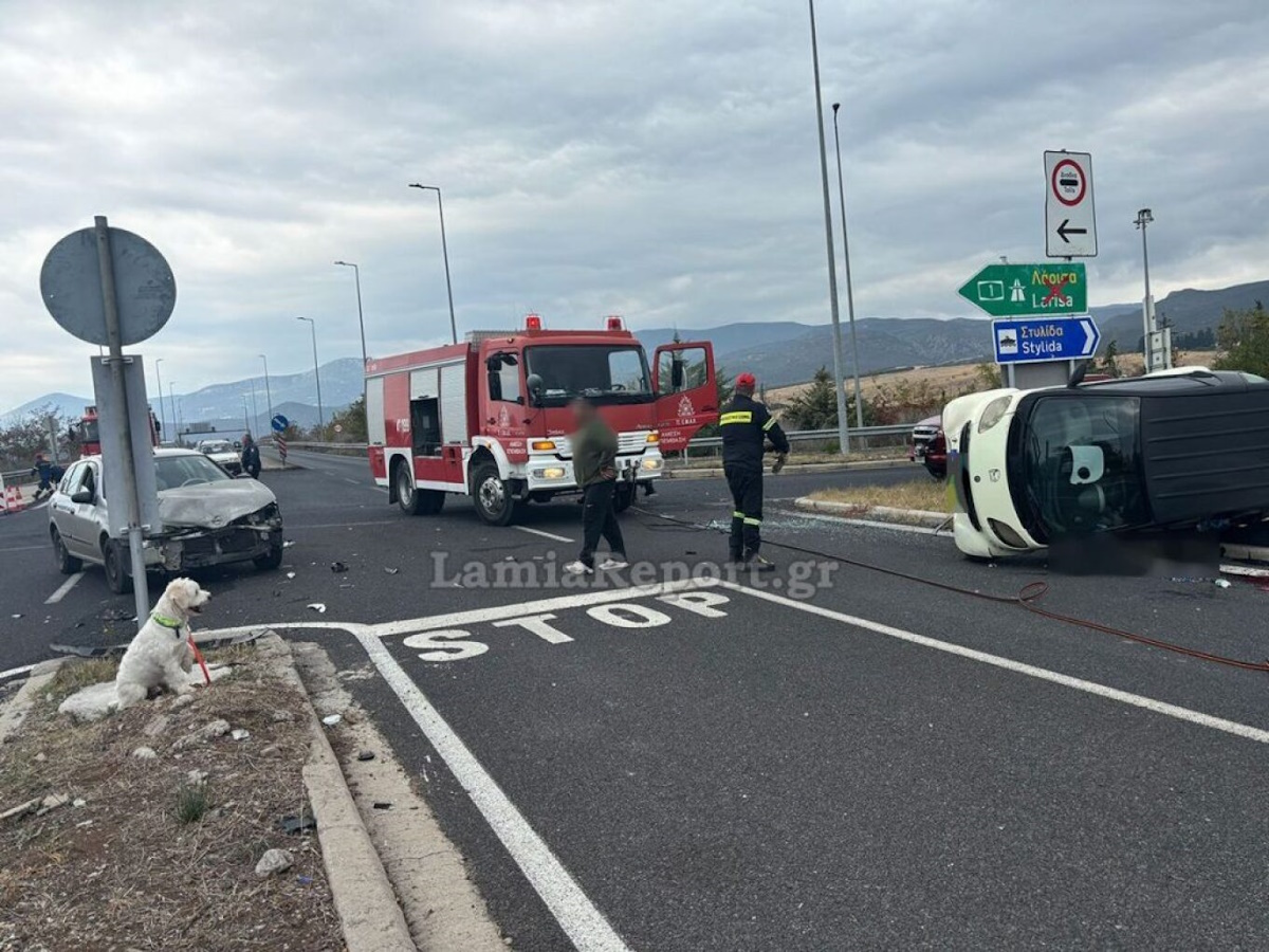 Λαμία: Δυστύχημα με νεκρό 54χρονο – Σώθηκε το σκυλί του και τον περίμενε δίπλα στο τροχαίο