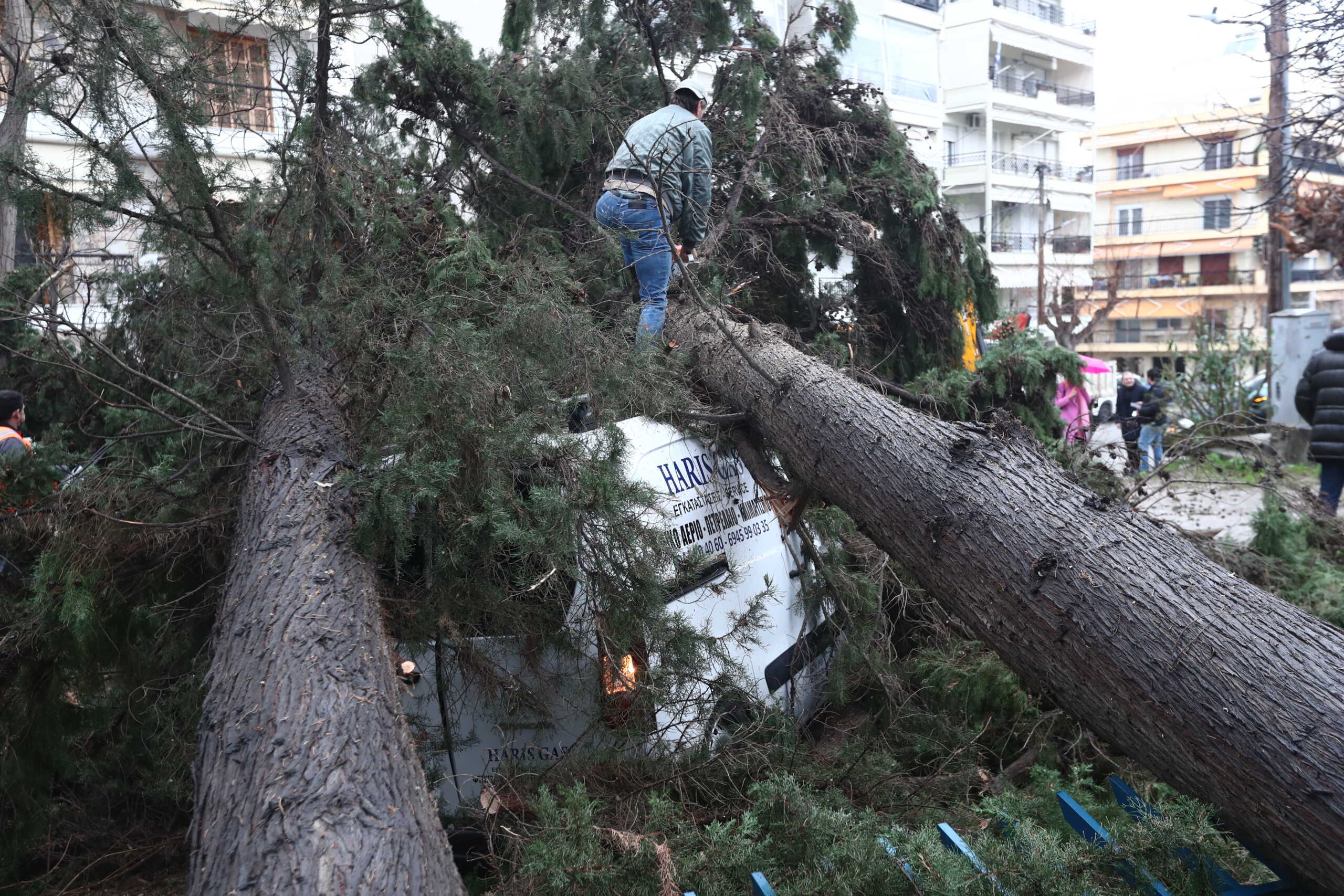 Κακοκαιρία Bora: Πάνω από 380 κλήσεις στην Πυροσβεστική για πτώσεις δέντρων στη Θεσσαλονίκη