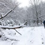 Καιρός: Χιόνια το Σάββατο ακόμα και σε περιοχές με χαμηλό υψόμετρο – Η πρόγνωση του Γιάννη Καλλιάνου