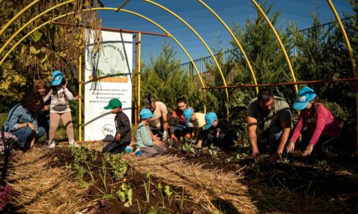 ΔΕΗ και Open Farm προωθούν τη βιώσιμη γεωργία στους μαθητές μέσω του «Carbon Farming Schools»