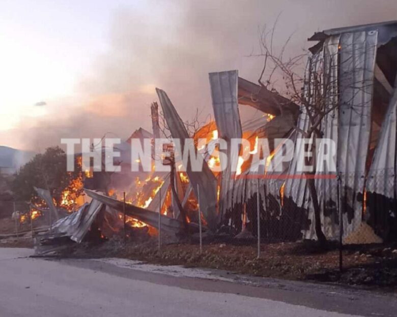 Φωτιά σε κτηνοτροφική μονάδα στη Μαγνησία – Ισχυρές δυνάμεις στο σημείο