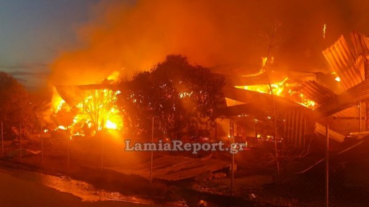 Φωτιά σε κτηνοτροφική μονάδα στη Μαγνησία – Ισχυρές δυνάμεις στο σημείο