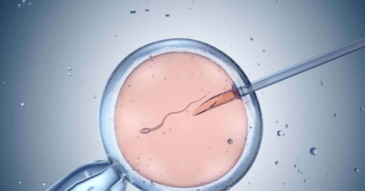 In vitro fertilization without medication