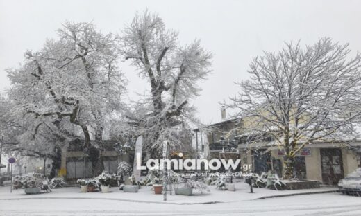 Μαγευτικές εικόνες από τη βόρεια και κεντρική Ελλάδα – Χιόνια σε Θεσσαλονίκη, Τρίκαλα και Λαμία