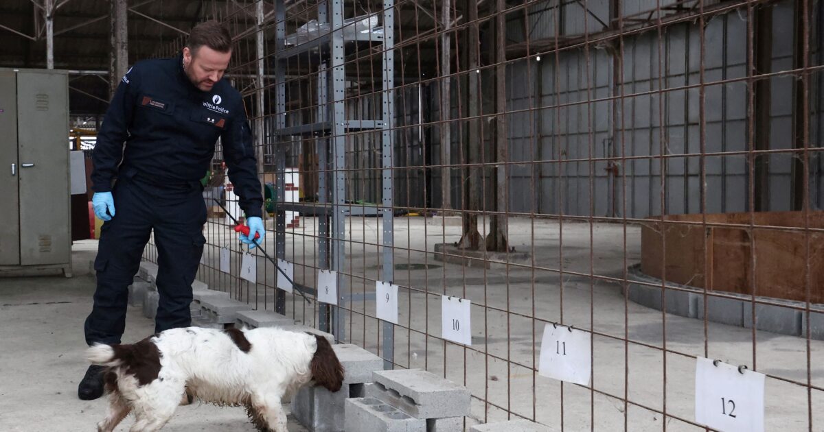 Η αστυνομία ερευνά τη μυστηριώδη εξαφάνιση γυναίκας που εθεάθη τελευταία φορά το 2010