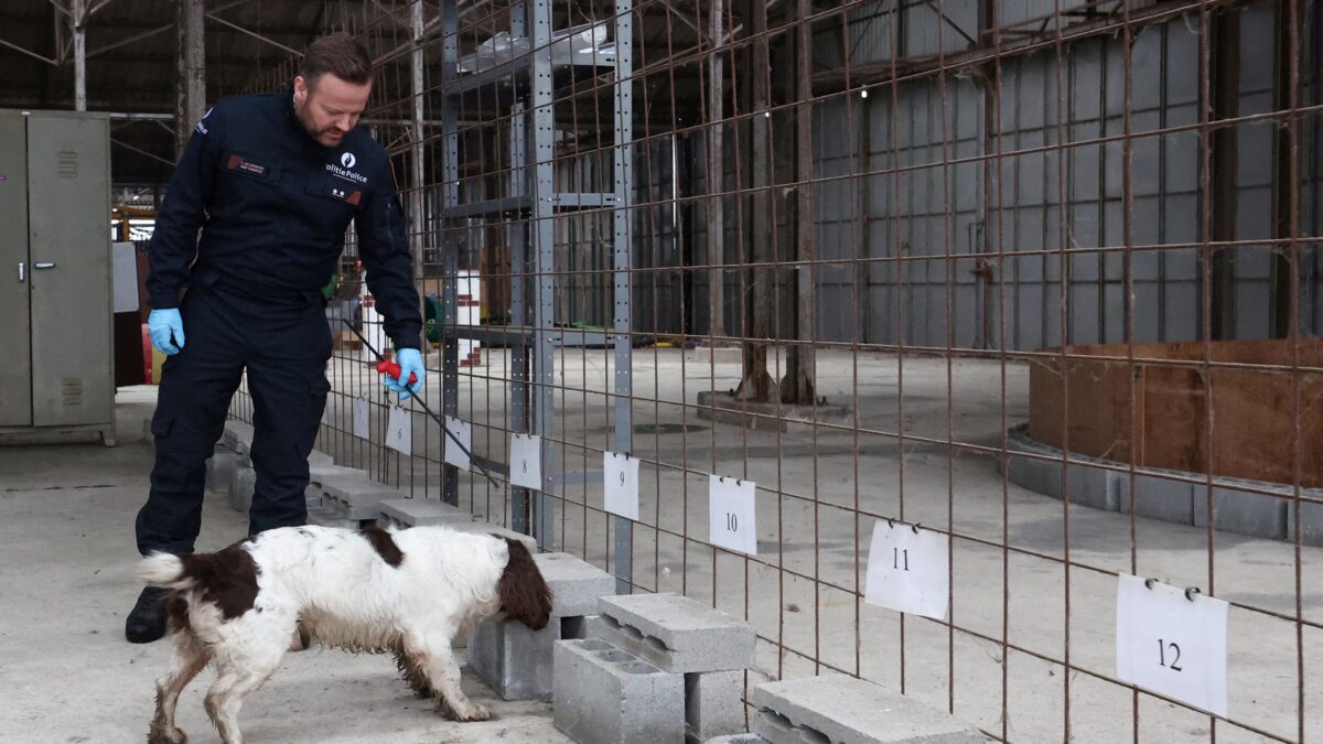 Βέλγιο: Η αστυνομία ερευνά τη μυστηριώδη εξαφάνιση γυναίκας που εθεάθη τελευταία φορά το 2010