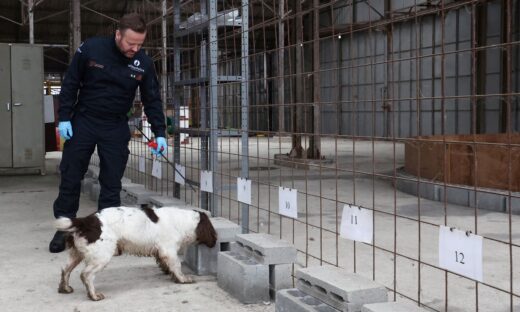 Βέλγιο: Η αστυνομία ερευνά τη μυστηριώδη εξαφάνιση γυναίκας που εθεάθη τελευταία φορά το 2010