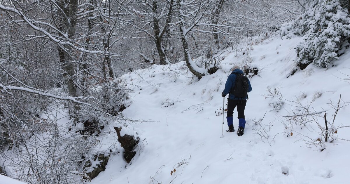 Χιόνια και τσουχτερό κρύο την Κυριακή στην βόρεια Ελλάδα – Σε ποιες περιοχές θα το στρώσει