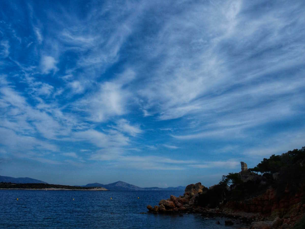 Άρωμα άνοιξης σε παραλία της Αττικής