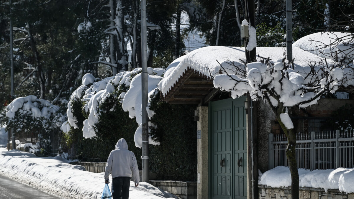 Από παλαιότερη χιονόπτωση στον Διόνυσο