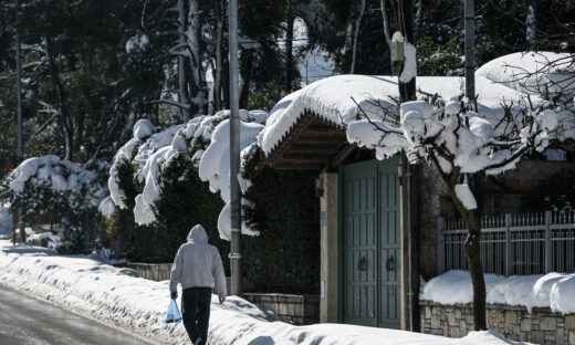 Από παλαιότερη χιονόπτωση στον Διόνυσο