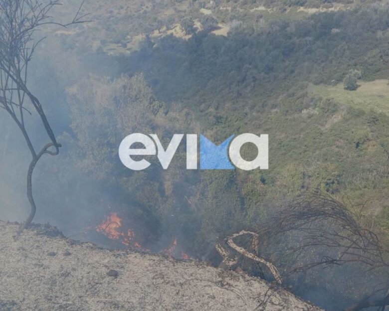 Φωτιά στην Εύβοια – Δεν απειλείται κατοικημένη περιοχή