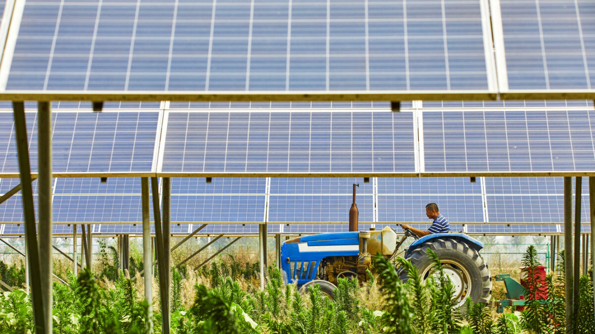 Farmers who open agricultural tractors in solar photovoltaic districts