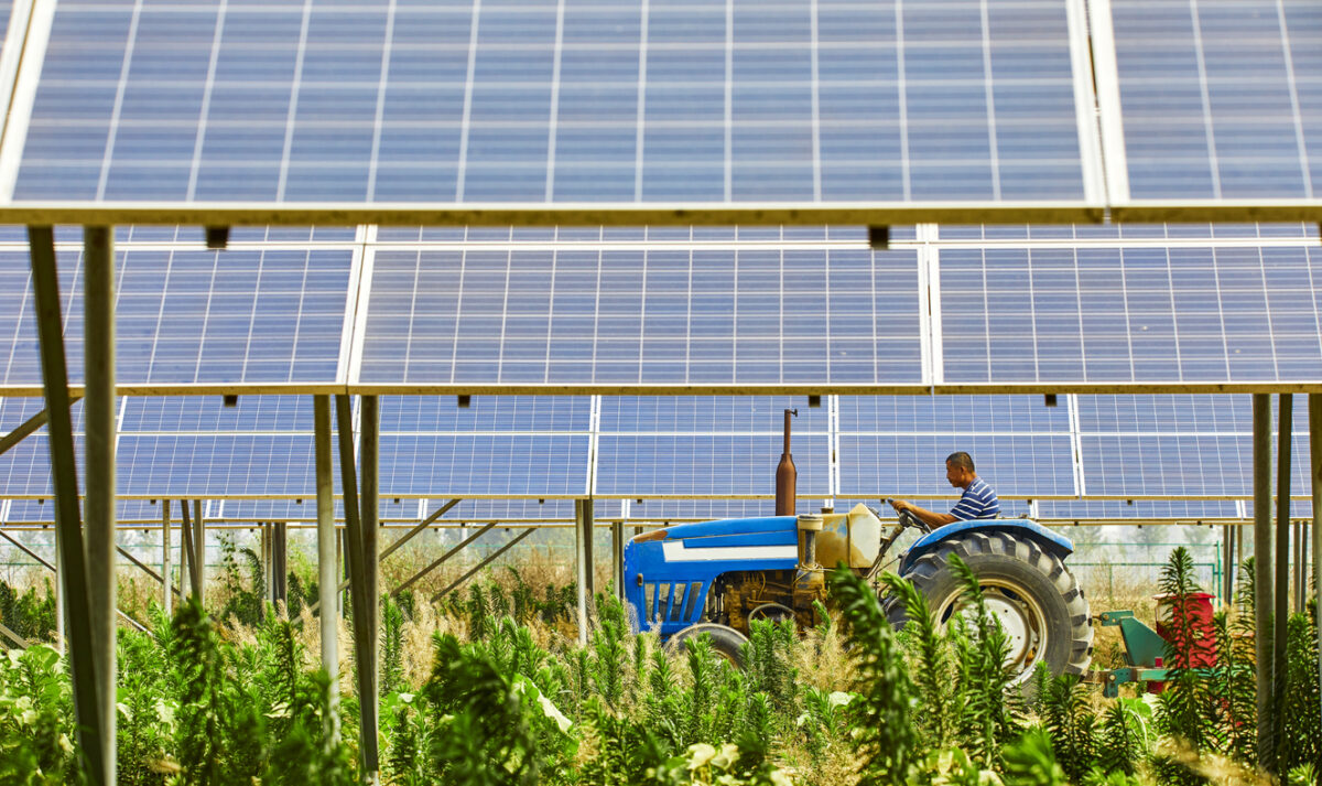 Farmers who open agricultural tractors in solar photovoltaic districts