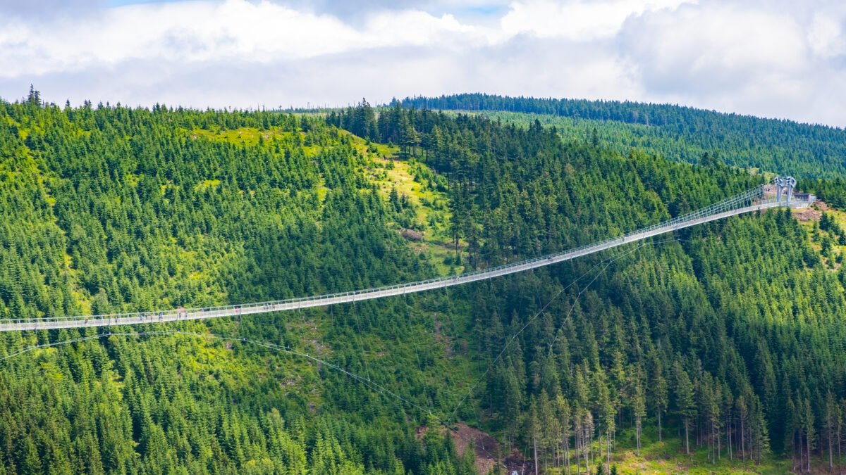 Sky Bridge 721 is the longest suspension bridge between two hills in the forest