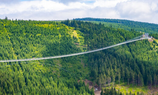 Sky Bridge 721 is the longest suspension bridge between two hills in the forest