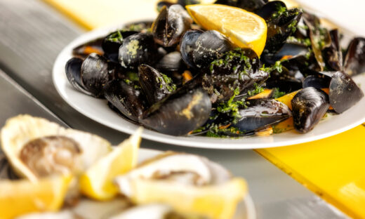 Steamed mussels in white wine sauce and oysters on the plate