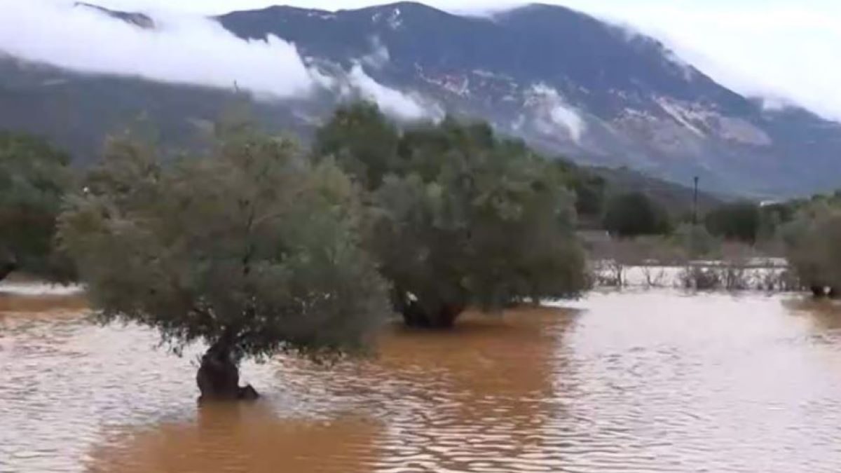 Κεφαλονιά: Βυθισμένο στα λασπόνερα το νησί εδώ και 48 ώρες – Αποκλεισμένα σπίτια και κάμποι που έγιναν λίμνες