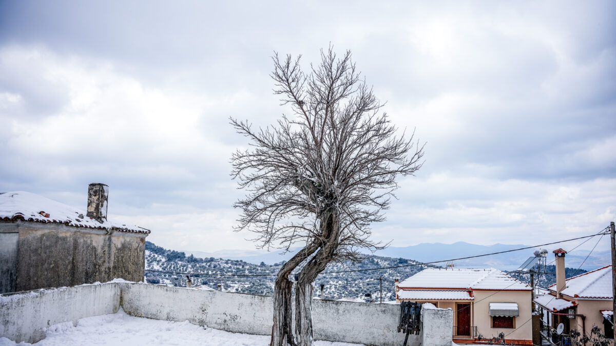 Χιόνια στη Λέσβο