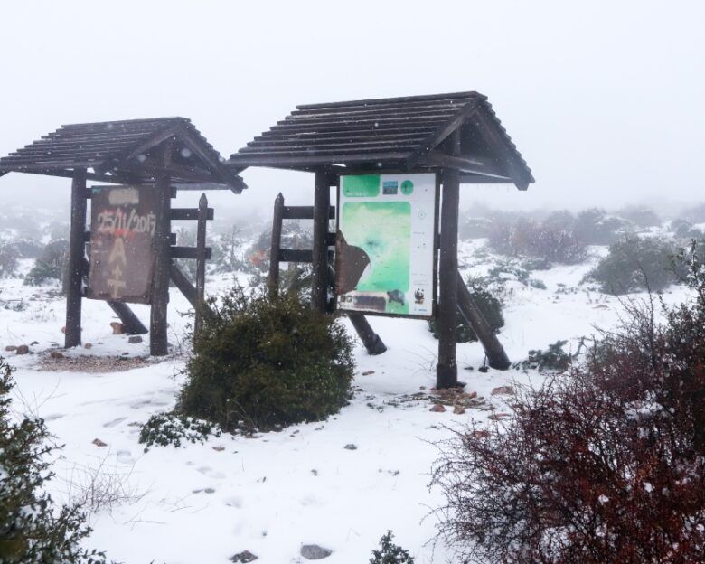 Χιόνια σε Πάρνηθα και Πεντέλη: Τσουχτερές θερμοκρασίες και μοναδικές φωτογραφίες από τα βουνά της Αττικής