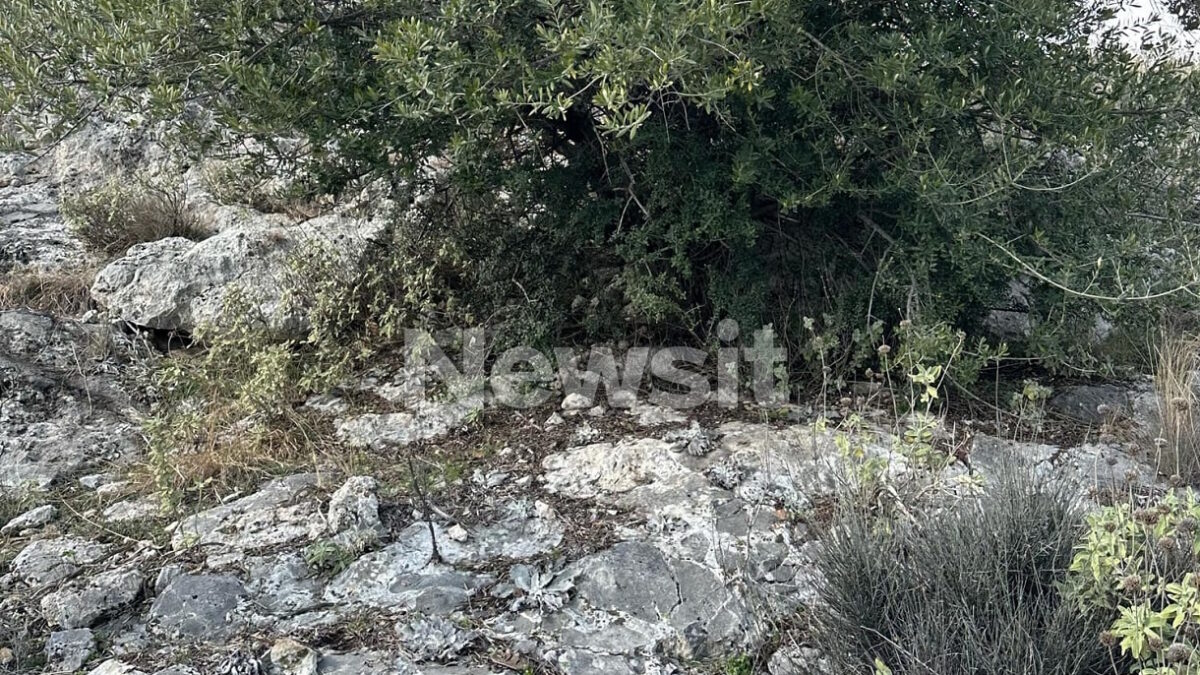 Το σημείο όπου βρέθηκε η σορός του Βασίλη Καλογήρου