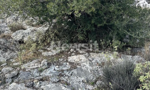 Το σημείο όπου βρέθηκε η σορός του Βασίλη Καλογήρου