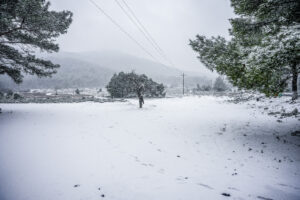 Χιόνια στη Λέσβο