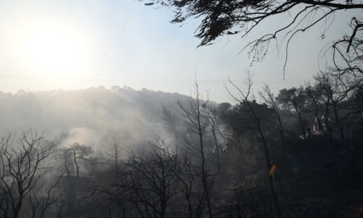 Φωτιά αποτεφρώνει δασική έκταση