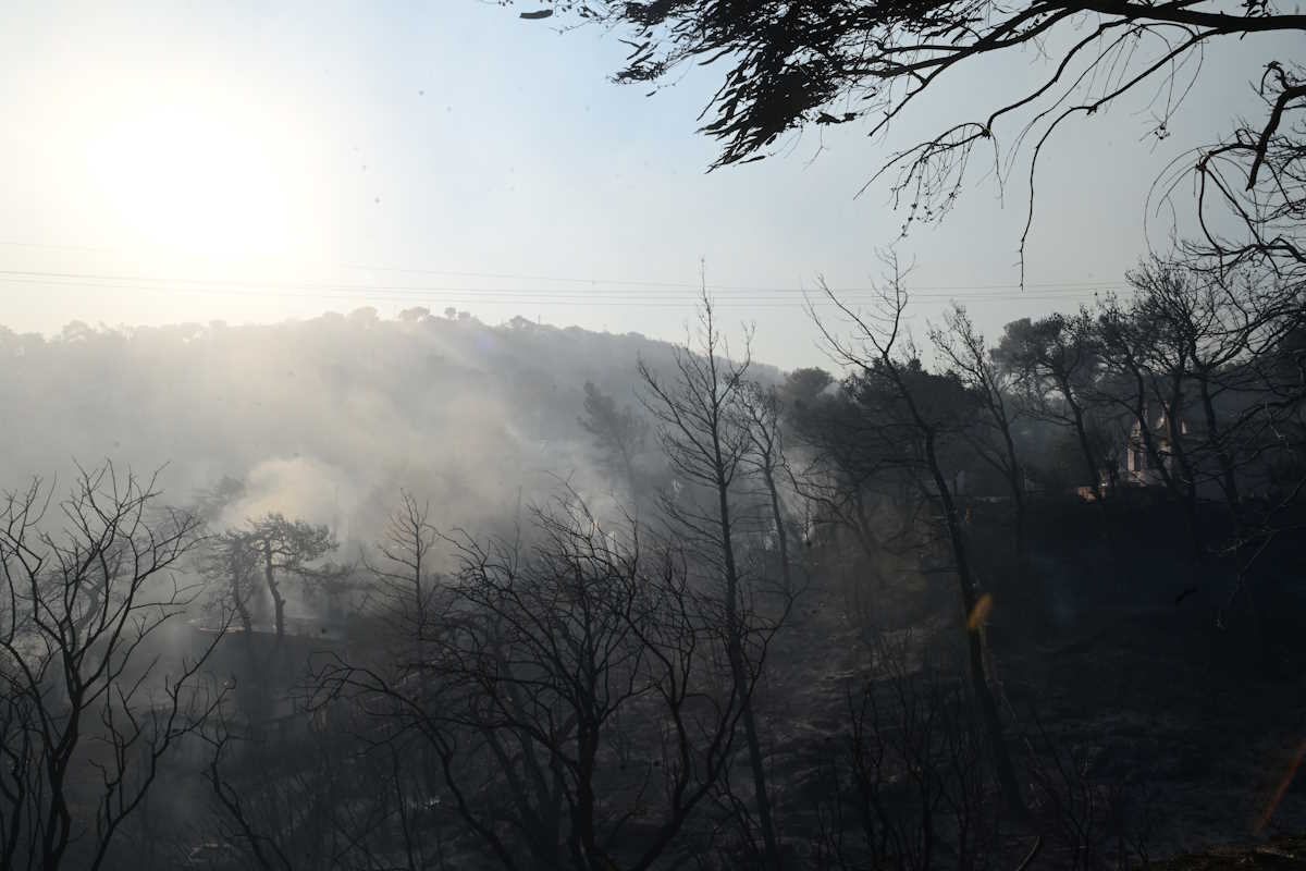 Φωτιά αποτεφρώνει δασική έκταση